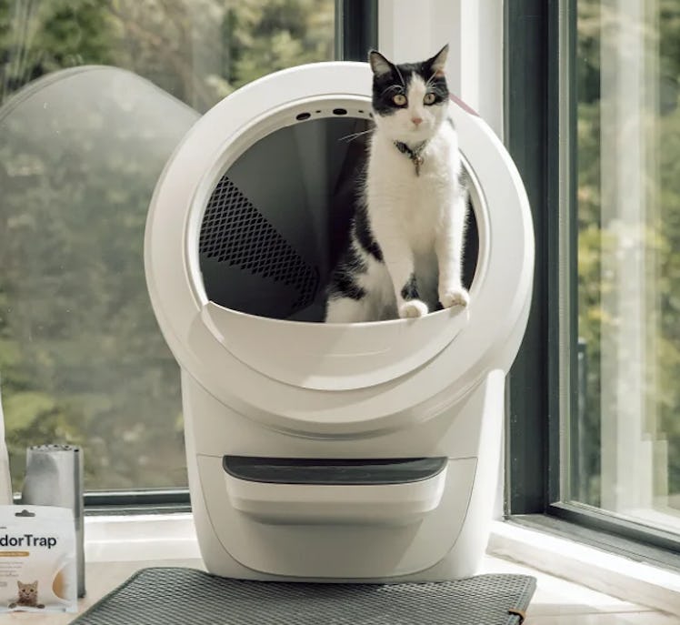 Litter-Robot 4