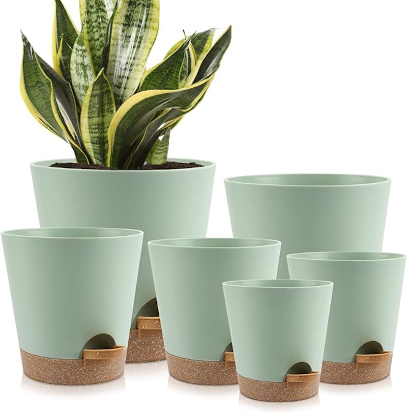 YNNICO Indoor Self Watering Planters (6 Pieces)