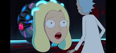 Rick and Morty Diane bomb