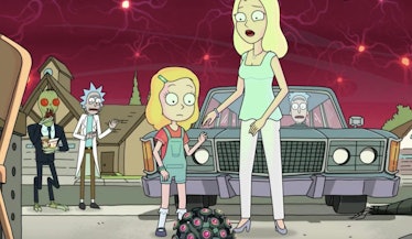 Diane in Rick and Morty