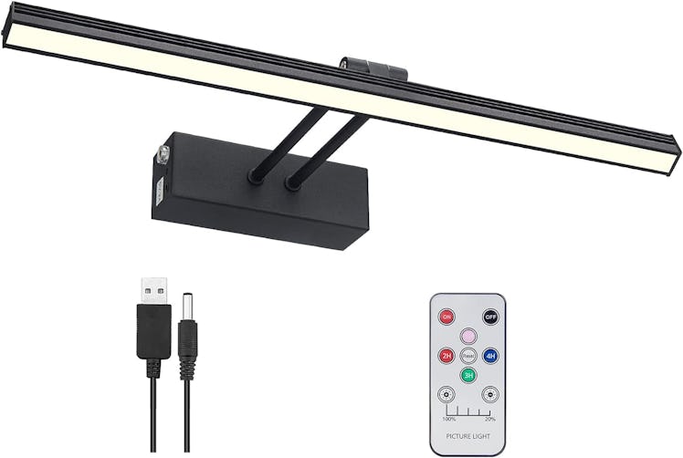 FUNCHDAY Picture Light