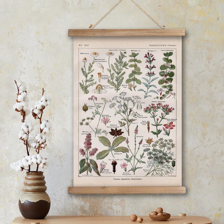 XIAOAIKA Botanical Herbs Poster