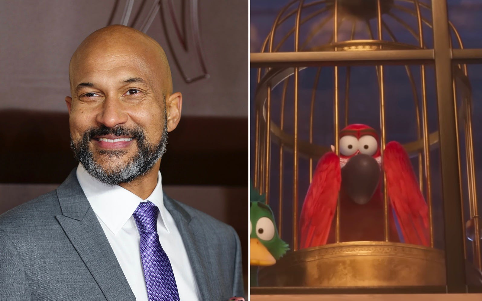 'Migration' Cast & Characters In SideBySide Photos