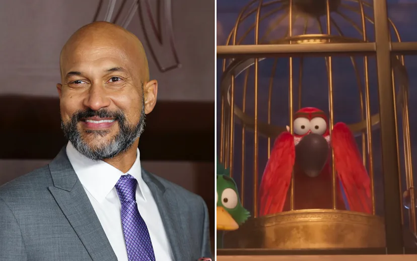 Migration Parrot 'Migration' Cast & Characters In Side-By-Side Photos