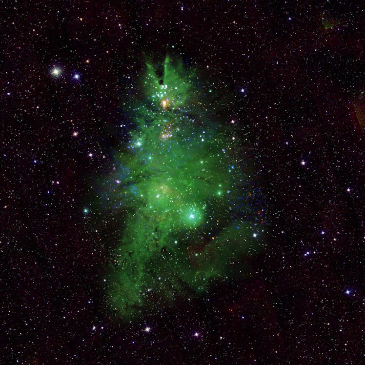 In this composite image, the cluster’s resemblance to a Christmas tree has been enhanced through ima...