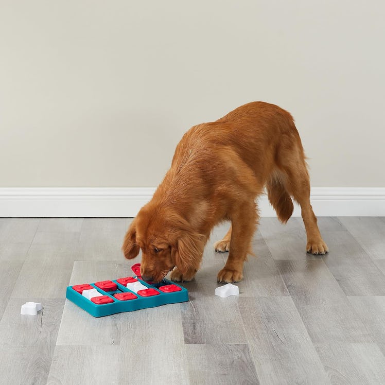 Outward Hound Puzzle Toy