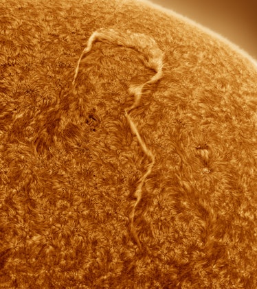 A fuzzy-looking surface spans the part of a sphere. This is a part of the Sun, and the textures are ...