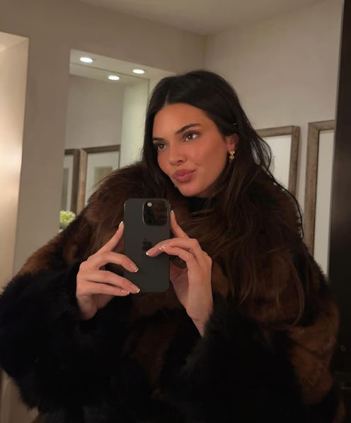 Kendall Jenner wears a brown fur coat in instagram selfie