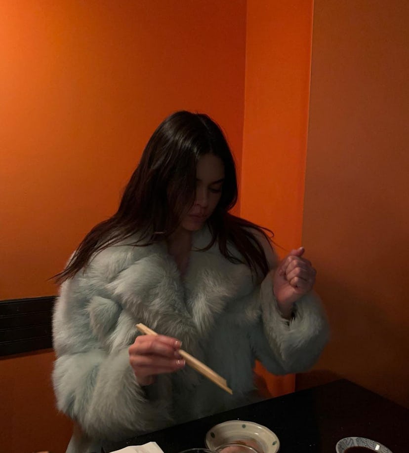 Kendall Jenner wears a blue fur coat from Bottega Veneta