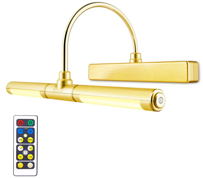 LUXSWAY Wireless Picture Light