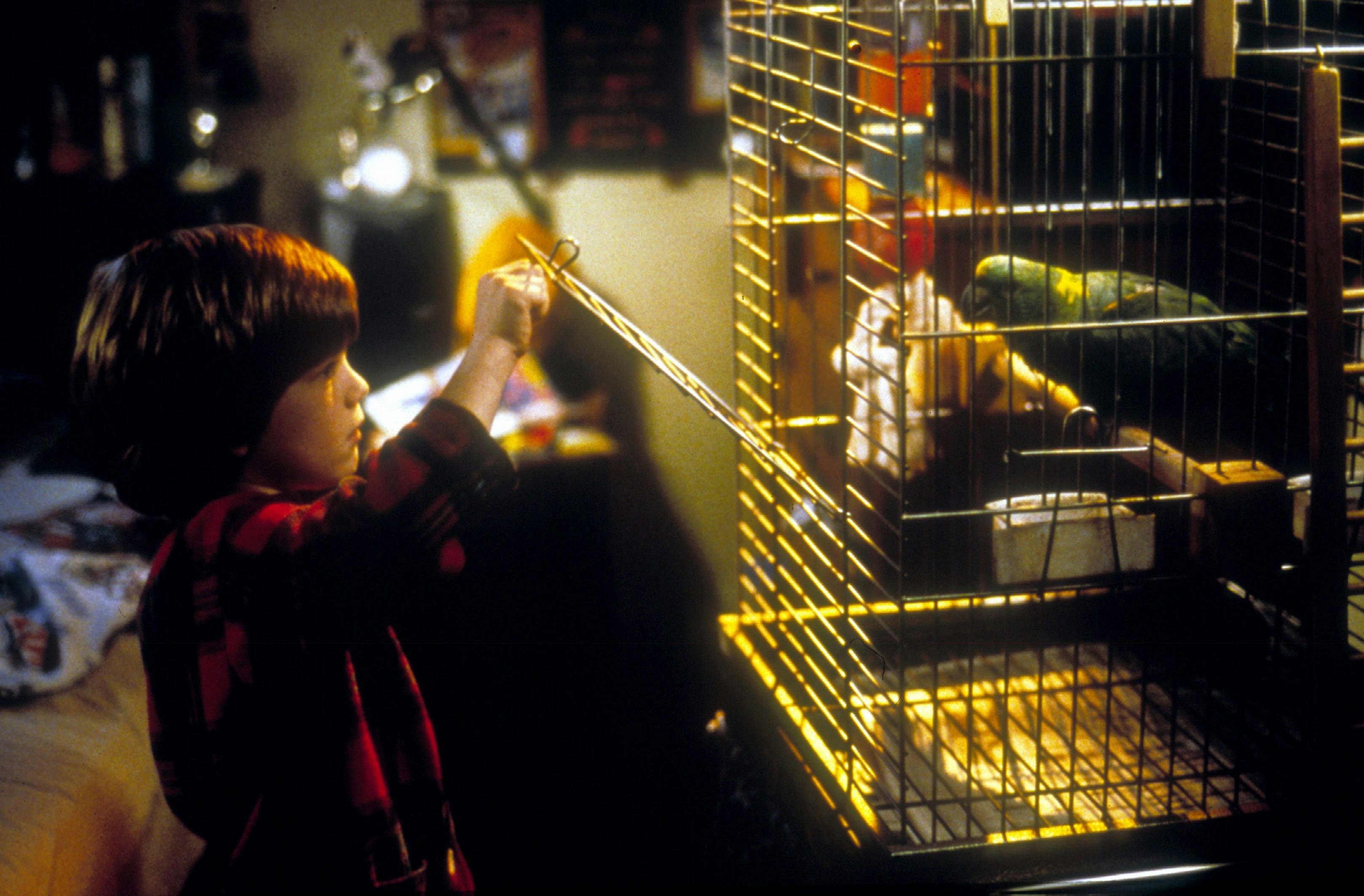 &lsquo;Home Alone 3&rsquo;