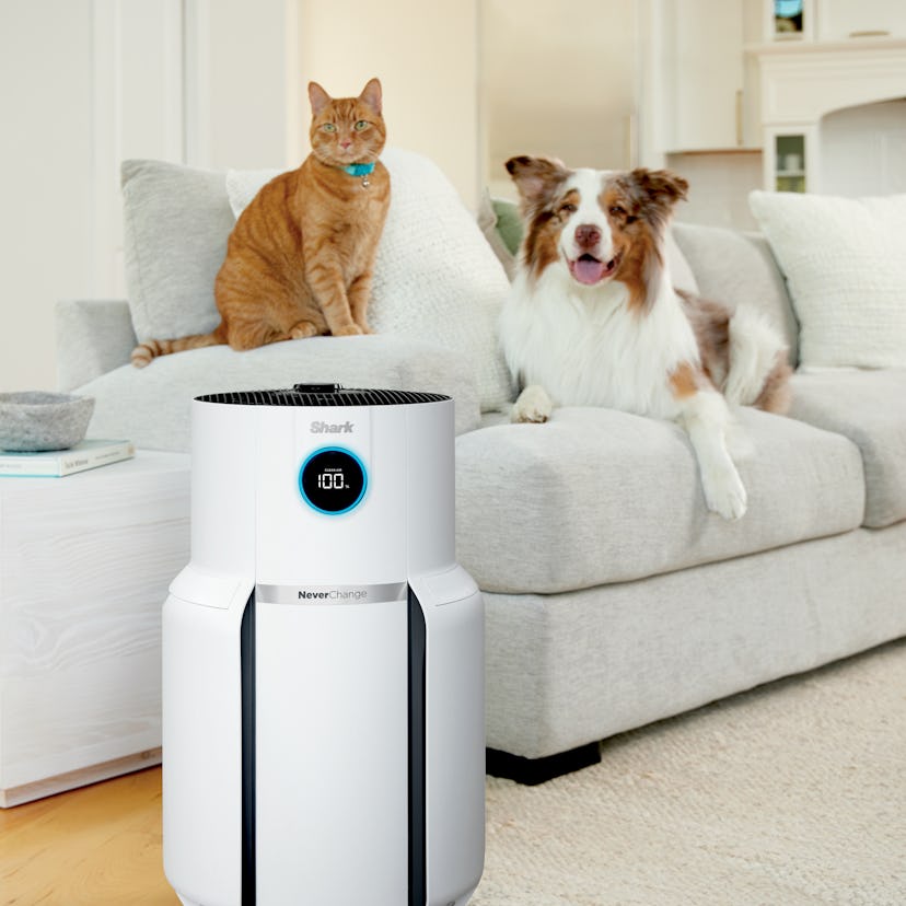 Shark HP302 NeverChange Air Purifier MAX