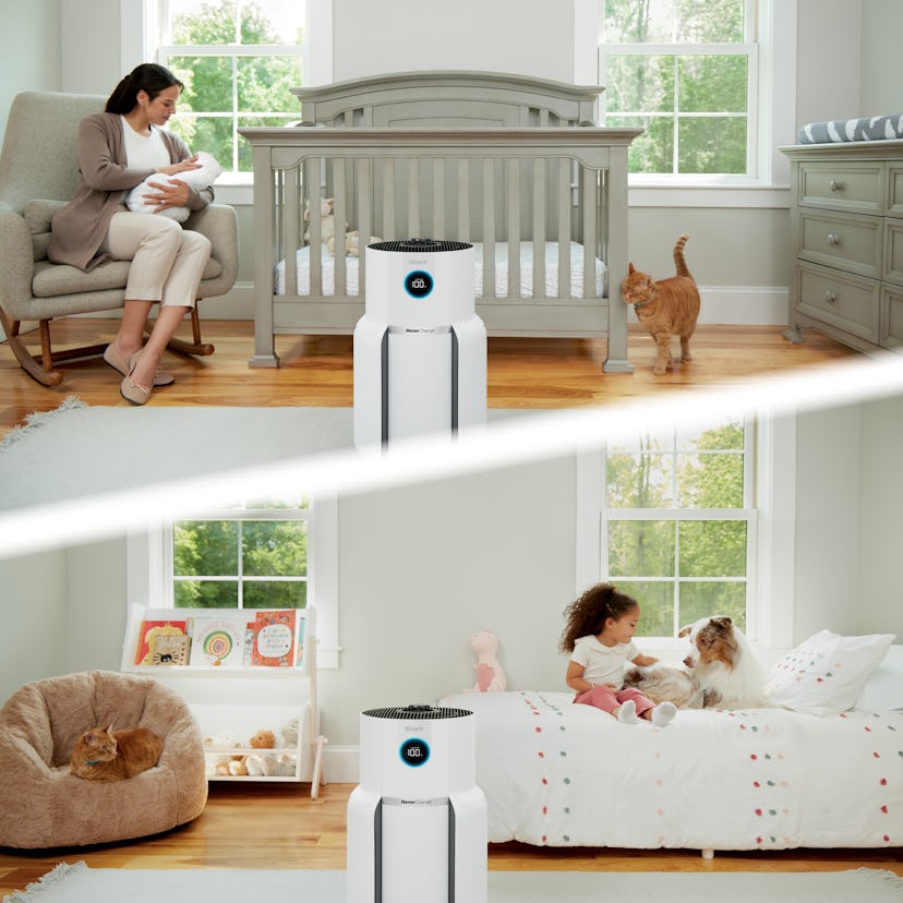 Shark HP302 NeverChange Air Purifier MAX