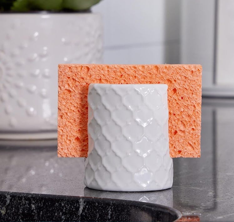 Home Acre Designs Sponge Holder