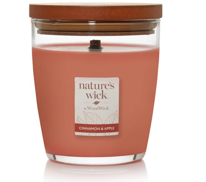 Nature's Wick Cinnamon & Apple Scented Candle
