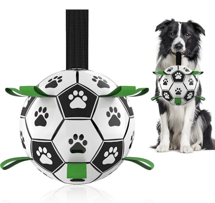 QDAN Interactive Soccer Ball With Straps