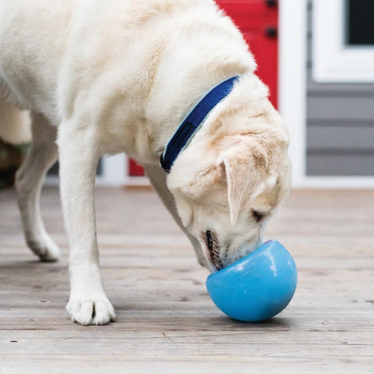 Planet Dog Orbee-Tuff Lil' Snoop Interactive Treat Dispensing Dog Toy