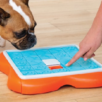 Outward Hound Interactive Dog Treat Puzzle Toy
