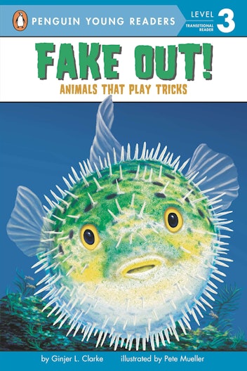 fake out book