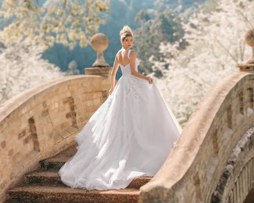 Inside Disney's 2023 Cinderella Wedding Dresses Inside Disney's 2023 Cinderella Wedding Dresses