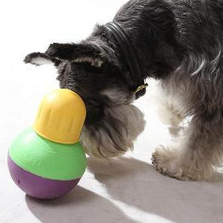 Starmark Bob-a-Lot Dog Toy