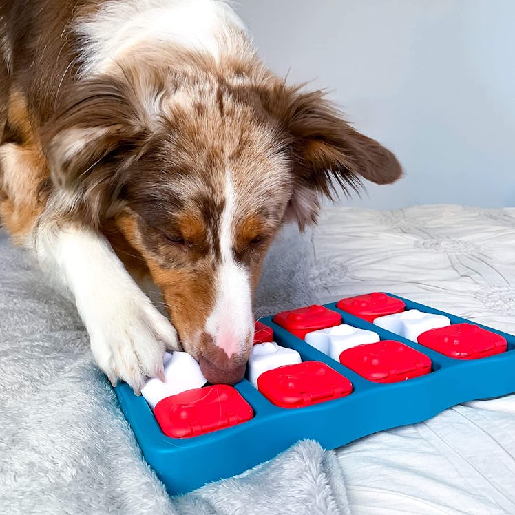 Outward Hound Brick Puzzle Feeder