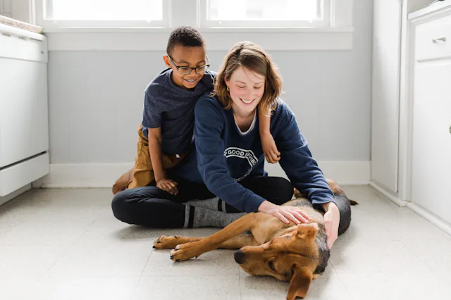 Dogs paws may smell like corn chips, or Fritos, due to bacteria in their paw pads.