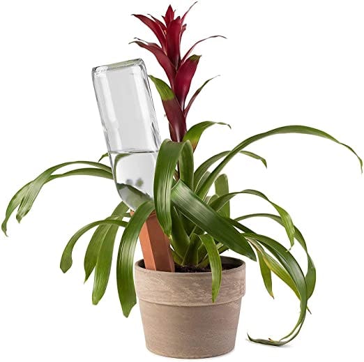 Modern Innovations Self-Watering Stakes (4-Pack)