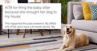 A man took to Reddit to find out if he was a jerk for firing a babysitter who brought her dog along ...