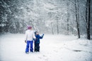哥哥和姐姐在雪中走过森林。