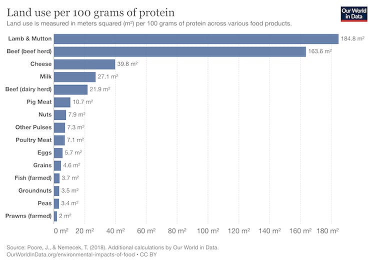 land use data with lamb/mutton and cattle leading by far