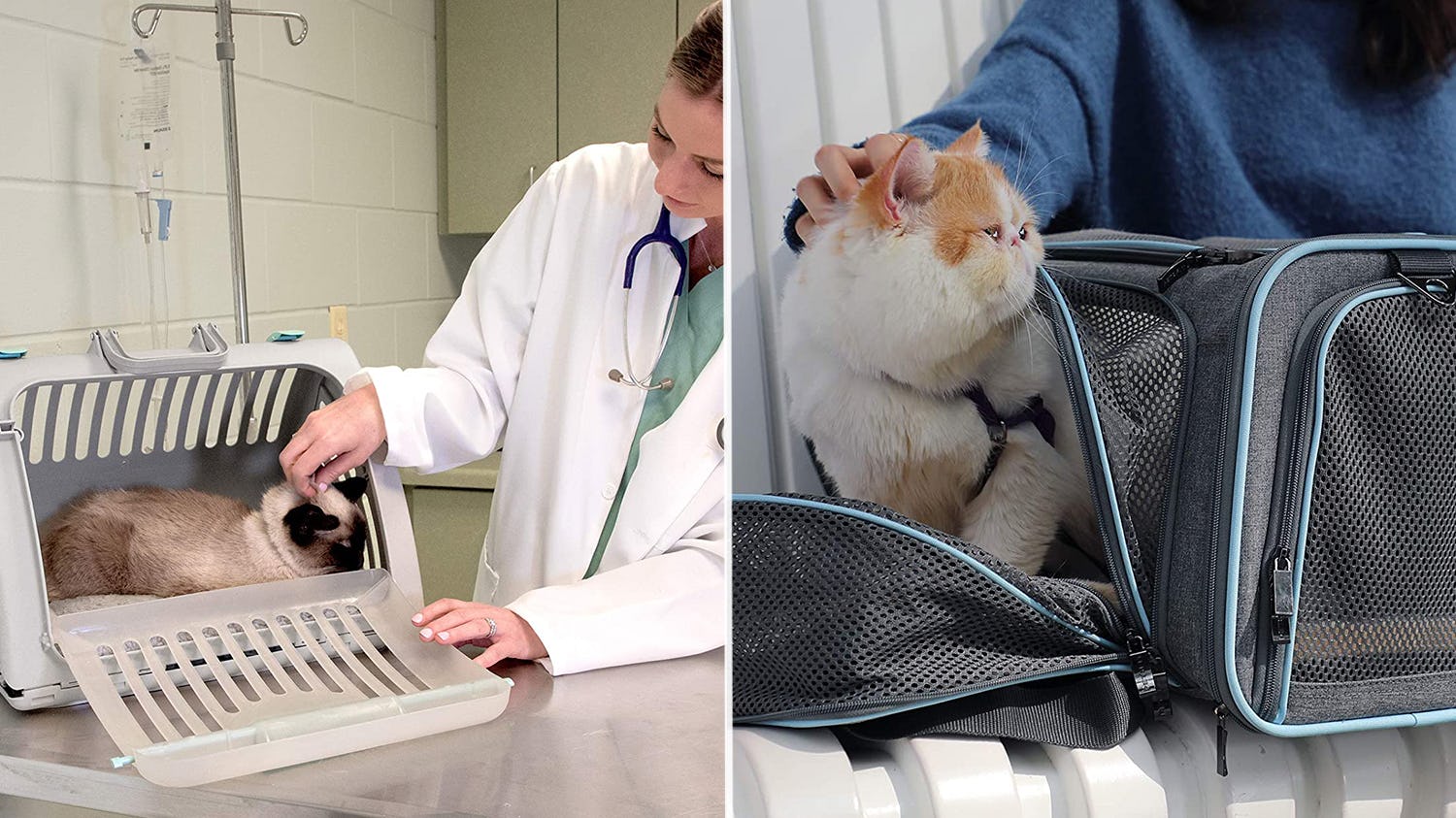 The 5 Best Cat Carriers For Nervous Cats