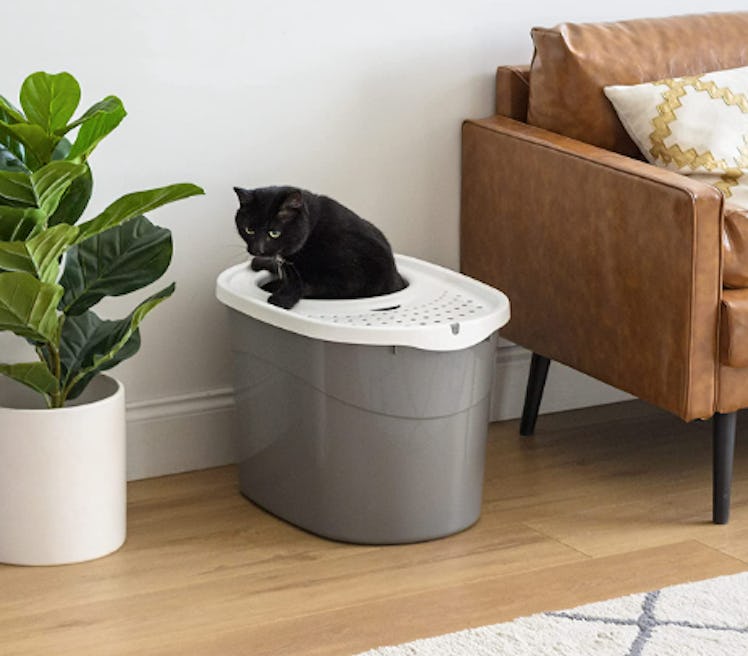 IRIS USA Large Simple Round Top Entry Cat Litter Box 