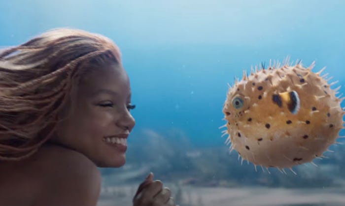 'The Little Mermaid' premieres in theaters on May 26, 2023.