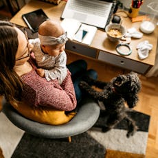 Having a baby and a jealous dog can be a lot, but experts say there are a few things you can do to e...