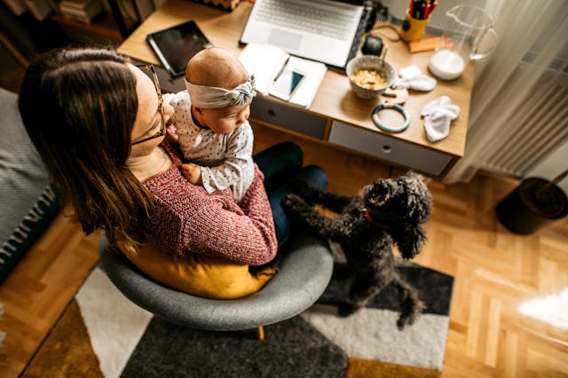 Having a baby and a jealous dog can be a lot, but experts say there are a few things you can do to e...