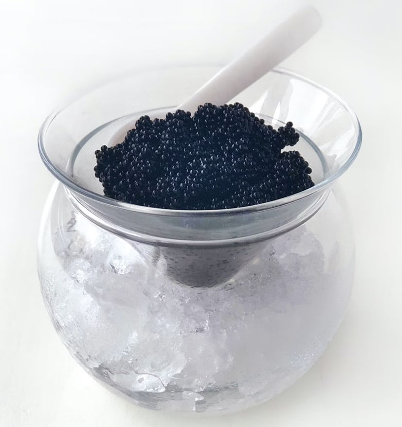 Russ &amp; Daughters Caviar Server