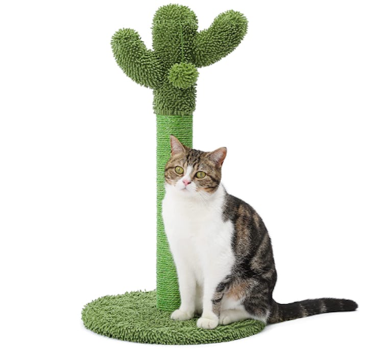 Made4Pets Cactus Cat Scratching Post
