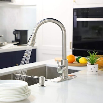  FORIOUS Kitchen Faucet with Pull Down Sprayer