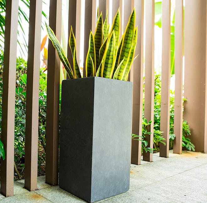Kante Lightweight Concrete Outdoor Planter