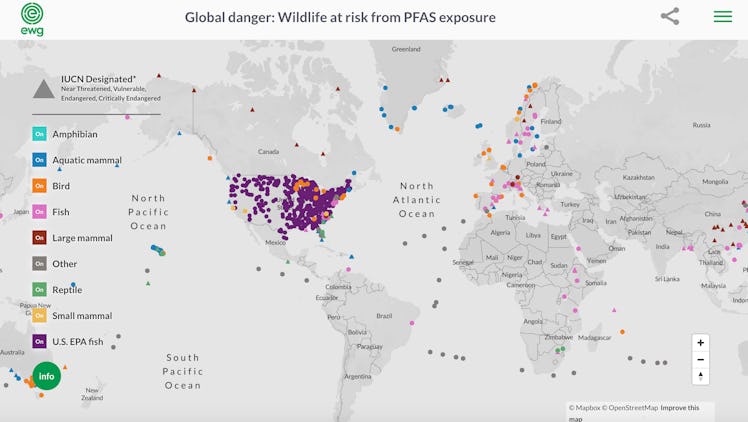 Screenshot PFAS global map