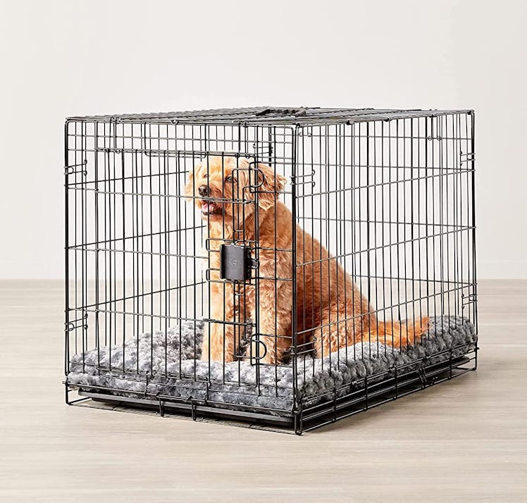 Amazon Basics Foldable Dog Crate