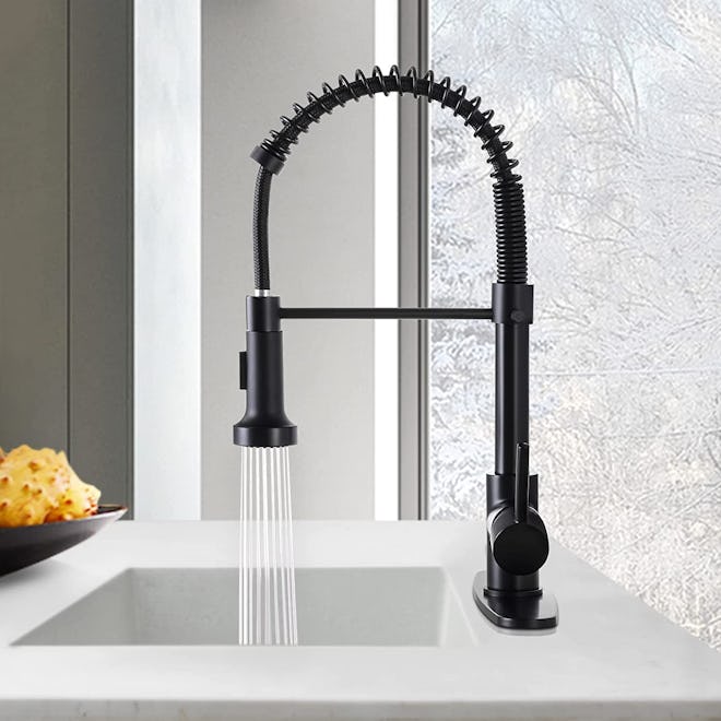 DJS Kitchen Faucets with Pull Down Sprayer