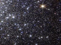 field of stars of varying sizes