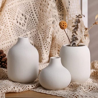 TanQoVone White Ceramic Vase Set (3 Pieces)