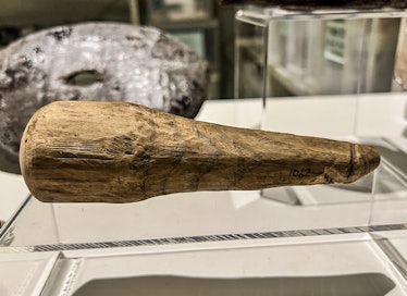 A wooden, penis-shaped object on display 
