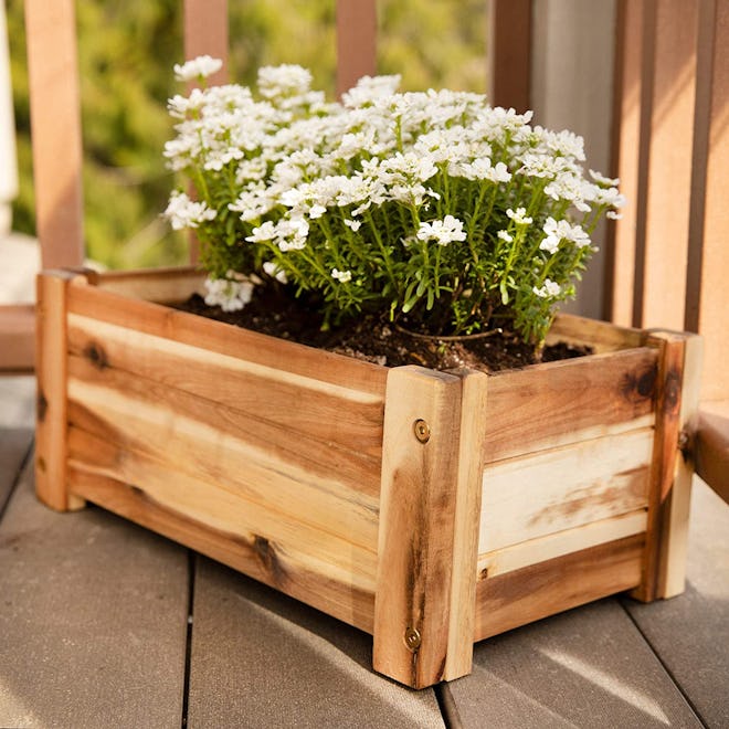 Thirteen Chefs Large Wooden Planter Box