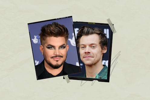 Adam Lambert defends Harry Styles over queerbating accusations.