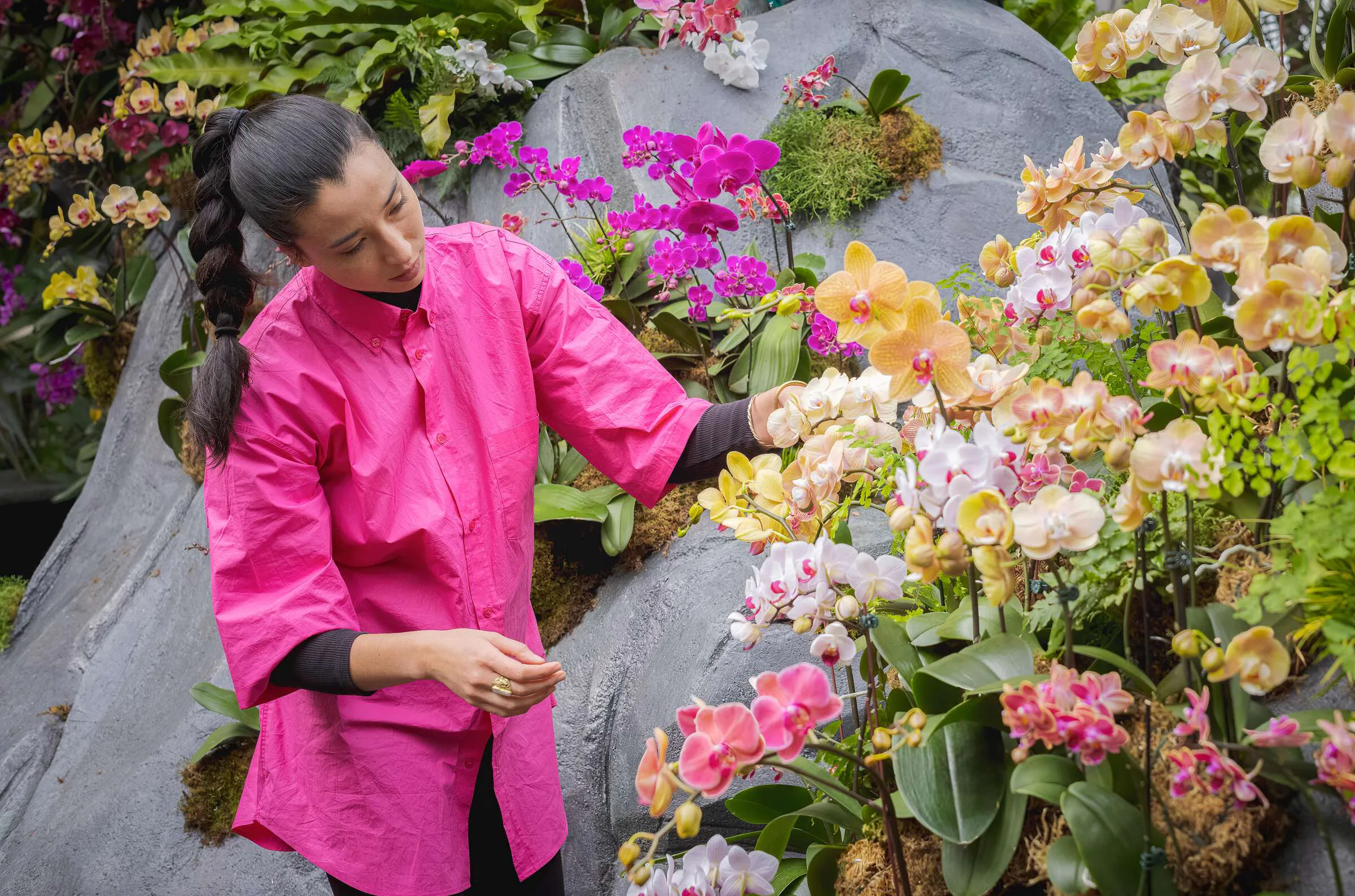 hirokoponシーグラスアートno.２ Lily Kwong's New York Botanical Garden Orchid Show Is A Meditative