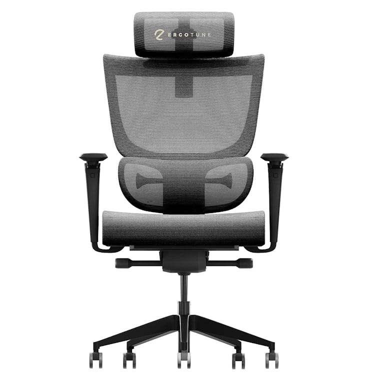 ErgoTune Supreme Ergonomic Chair 